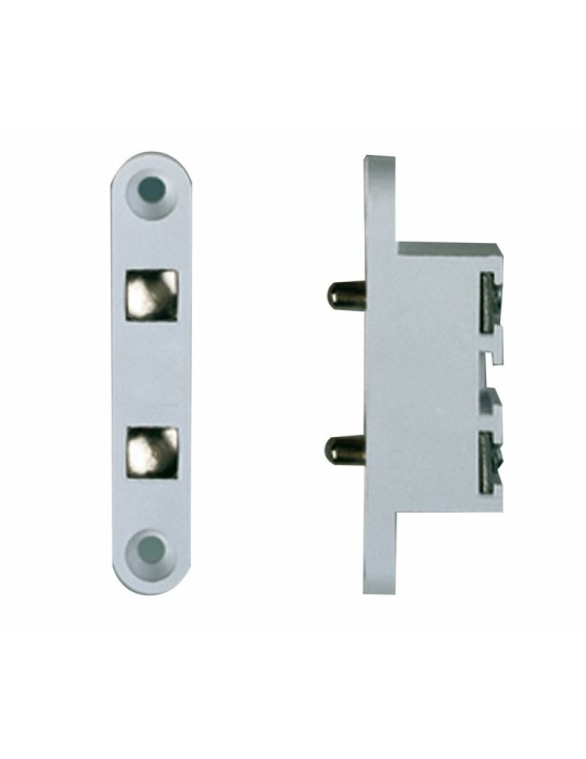 Fermax Contactos 2C Puerta (Doble) 2913 | Suministros Eléctricos