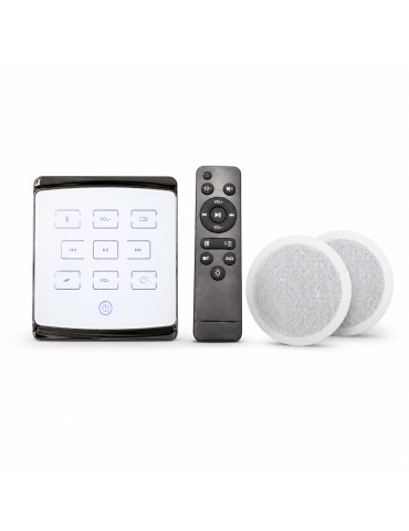 Atmoss Kit de sonido Bluetooth con altavoz principal y auxili ALT-001