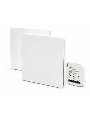 Atmoss Pastilla de 2 interruptores inalámbricos con WiFi CO CONTR-081