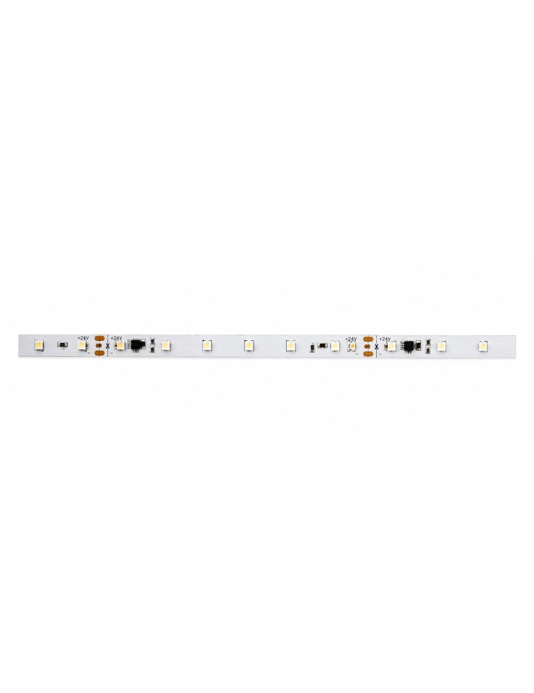 Tira LED digital RGB 24V 10W/m Atmoss TLED-135 | IP65