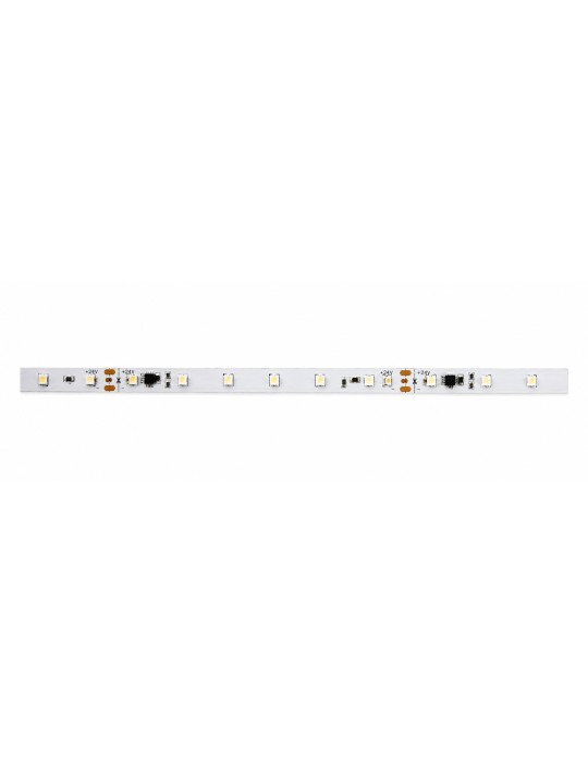 Tira LED digital RGB 24V 10W/m Atmoss TLED-135 | IP65