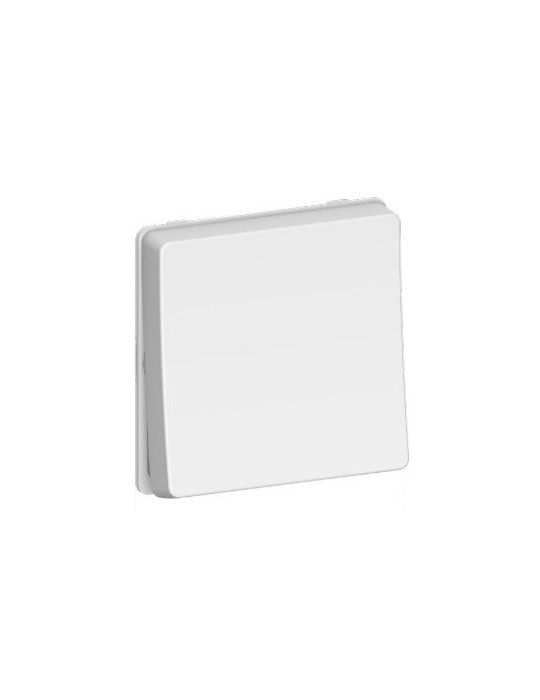 Atmoss Dynamic S55 Pulsador IP55 S55.109.10